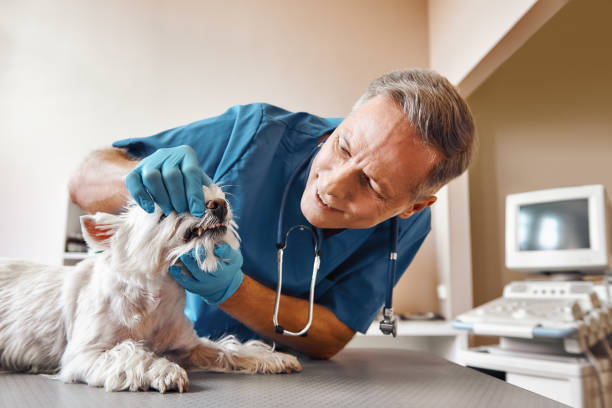 Best Emergency Gum Pain Relief  in Granite Falls, NC